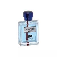 Art Parfum туалетная вода Incognito Homme