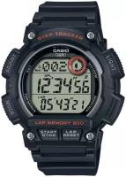 Наручные часы Casio Collection WS-2100H-1A