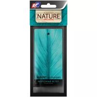 RUSEFF Ароматизатор для автомобиля NATURE LINE Frosty Wind 5 мл природный