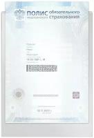 Папка-файл для медицинского полиса, 223х158 мм, без отверстий, ПВХ 120 мкм, 