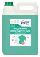 Forest Clean Весенняя свежесть