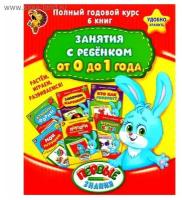 Буква-ленд Обучающие книги «Полный годовой курс. Серия от 0 до 1 года», 6 книг по 16 стр, в папке