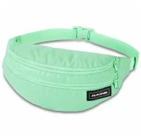 Сумка поясная Dakine Classic Hip Pack Large Dusty Mint Ripstop