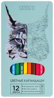 КОКОС цветные карандаши Lynx, 12 цветов, 211730