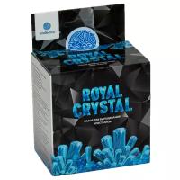 Набор для исследований Intellectico Royal Crystal, 1 эксперимент, синий