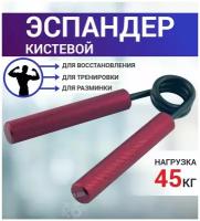 Эспандер кистевой пружинный BF-EH03, 45кг красный