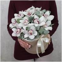 Цветы живые букет из белых орхидей с эвкалиптом в шляпной коробке 