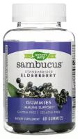 Nature's Way Sambucus Standardized Elderberry (стандартизированный экстракт бузины) 60 жевательных таблеток