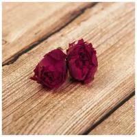 Сухие цветы розы, 15 гр 2325583