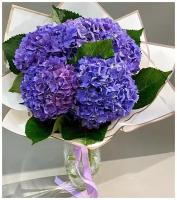 Букет Гортензия 5 шт, красивый букет цветов, шикарный, премиум букет