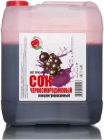 Сок концентрированный «Черносмородиновый», кисл. 4,0% канистра 5 кг (Джем&KO)