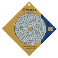 TUNDRA Алмазный гибкий шлифовальный круг TUNDRA 
