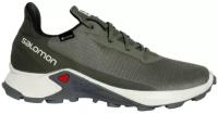 Беговые кроссовки SALOMON Alphacross 3 Gtx Deep Lichen G (UK:11)