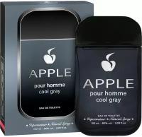 Apple Parfums Homme Cool Gray туалетная вода 100 мл для мужчин