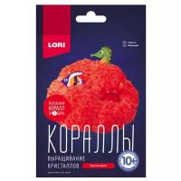 Набор для исследований LORI Выращивание кристаллов. Кораллы, красный