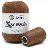 Пряжа Astra Premium 'Пух норки' (Mink yarn) 50гр 290м (+/- 5%) (80%пух, 20%нейлон) (+нить 20гр) (049 молочный шоколад)