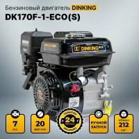 Двигатель Dinking DK170F-1-ECO(S) (7л. с, 20мм вал, ручной стартер)