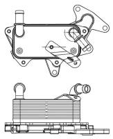 Радиатор масляный Polo (05-)/Rapid (12-) 1.6i [CWVA] AT LUZAR