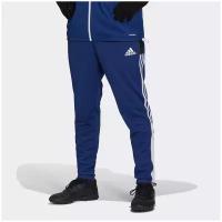 Брюки тренировочные Adidas Tiro 21 TR PNT H33691