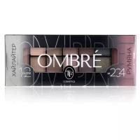 Набор для макияжа TF Cosmetics Ombre т.204 18 г