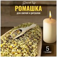 Сухая трава Ромашка (цветы) для свечей и ритуалов, 5 гр