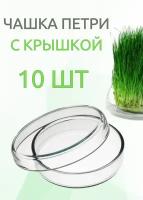 Чашка Петри стеклянная 100х20 мм, 10 шт/упак с крышками