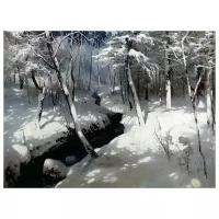 Репродукция на холсте Ручей в лесу (Stream in the Forest) №1 Шильдер Андрей 54см. x 40см