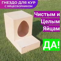 Гнездо для кур несушек с яйцесборником