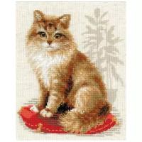 Риолис Набор для вышивания Кошка домашняя 24 х 30 см (1525), разноцветный, 30 х 24 см