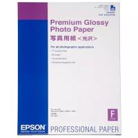 Epson Бумага Epson Premium Glossy Photo Paper A2 (C13S042091)