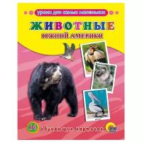 Набор карточек Проф-Пресс Обучающие карточки. Животные Южной Америки 22x17 см 16 шт