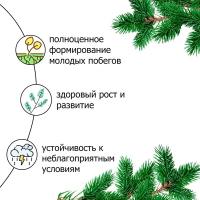 Удобрение для хвойных и декоративных Пуршат (Purshat) 50 мл