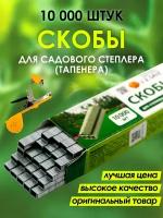 Скобы для тапенера (садового степлера) CELLTIX