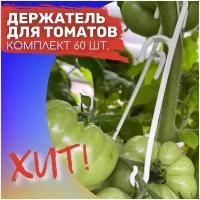 Комплаект 60 шт. Держатель садовый для томатов, двойной/ Крючок кистедержатель для растений и овощей/ Опора для томатов для дачи огорода