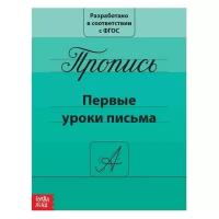 Рабочие тетради и прописи буква-ленд Прописи «Первые уроки письма», 20 стр