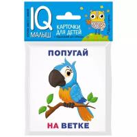 Набор карточек Айрис-пресс Умный малыш. Кто где находится 9x8 см 12 шт