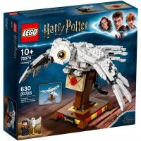 Конструктор LEGO Harry Potter 75979 Букля