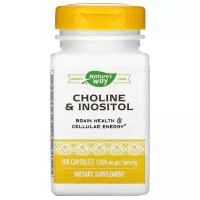 Nature's Way Choline & Inositol (Холин и инозитол) 500 мг 100 капсул