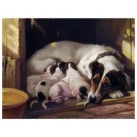 Постер на холсте Собака и щенки (Dog and Puppy) №1 66см. x 50см