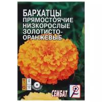 Семена цветов Бархатцы прямостоячий низкорослый золотисто-оранжевый, О, 0,1 г