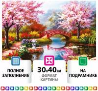 Картина стразами (алмазная мозаика) 30*40 см, остров сокровищ 