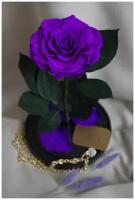 Роза в колбе живая Miamor, подарочный набор для женщины, подарок маме, для девочки, долговечный букет - GIFT4YOU
