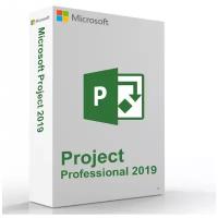 Microsoft Project 2019 Professional