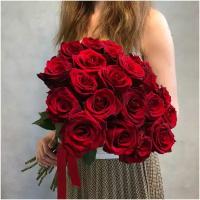 Букет из 23 красных роз сорта эксплорер 60см (эквадор) с атласной лентой. Свежие цветы - это самый красивый, живой и позитивный подарок на день рождение, юблией, праздник или просто так:)