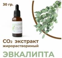 СО2 экстракт эвкалипта, 30гр