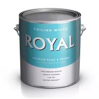 ACE Paint Royal Ceilling Interior Flat