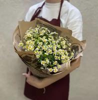 Букет живых цветов, кустовая ромашка в крафтовой упаковке, ароматная ромашка