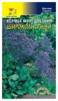 Цветущий сад Семена Кермек Широколистный многолетний Цветущий сад