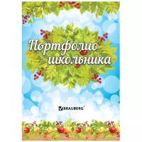 Портфолио школьника 16л., внутр.блок (титульный лист, содержание, 14 разд) окружающий МИР 1929842