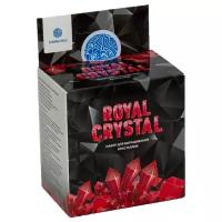 Набор для экспериментов Intellectico Кристалл красный Royal Crystal 512бр